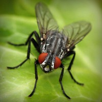 /album/the-music-lt-3/photolia-a01-jpg/