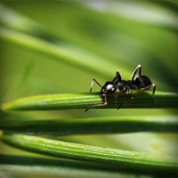 /album/the-music-lt-3/photolia-a05-jpg/