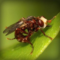 /album/the-music-lt-3/photolia-a06-jpg/