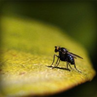 /album/the-music-lt-3/photolia-a07-jpg/