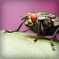 /album/the-music-lt-3/photolia-a08-jpg/